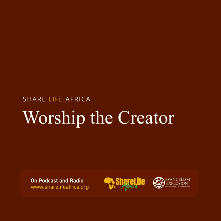 Worship the Creator