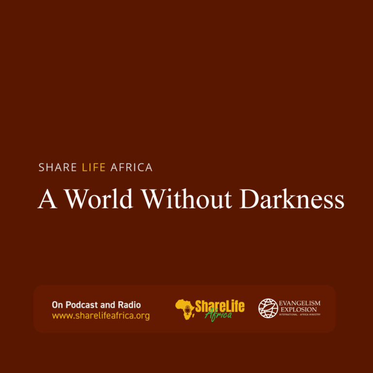 A World Without Darkness